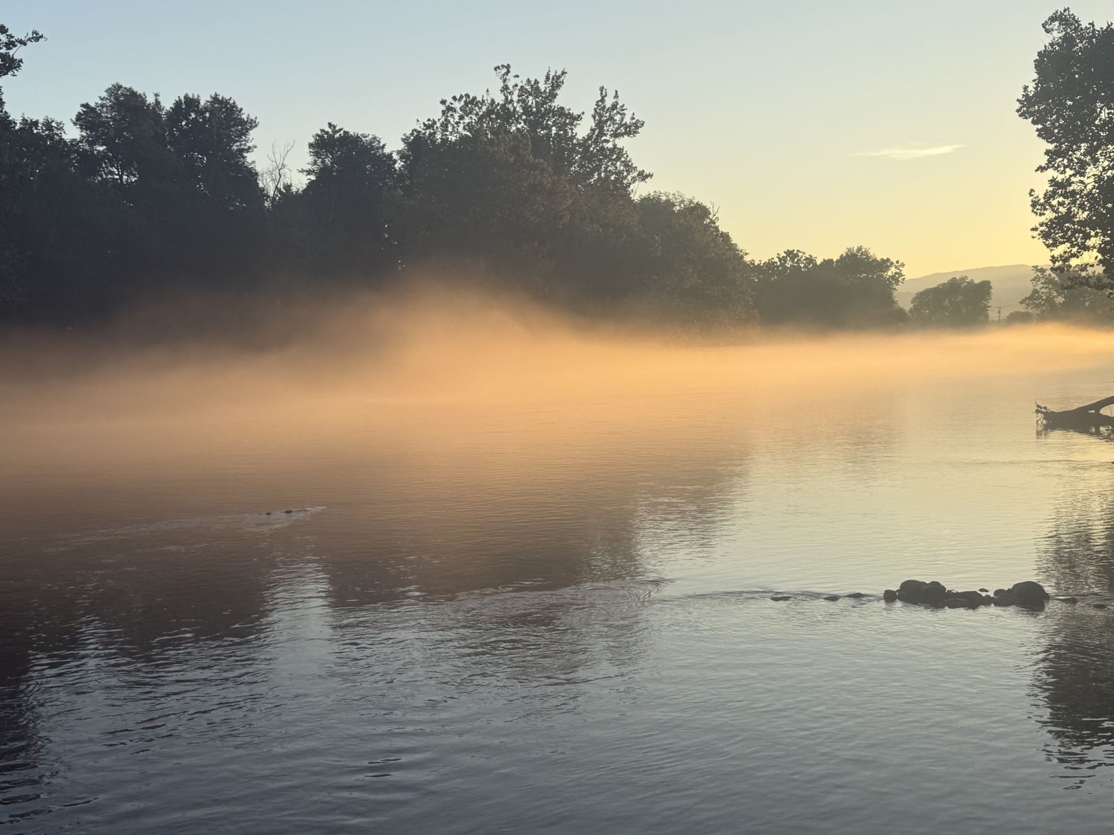 Golden fog sitting on the river