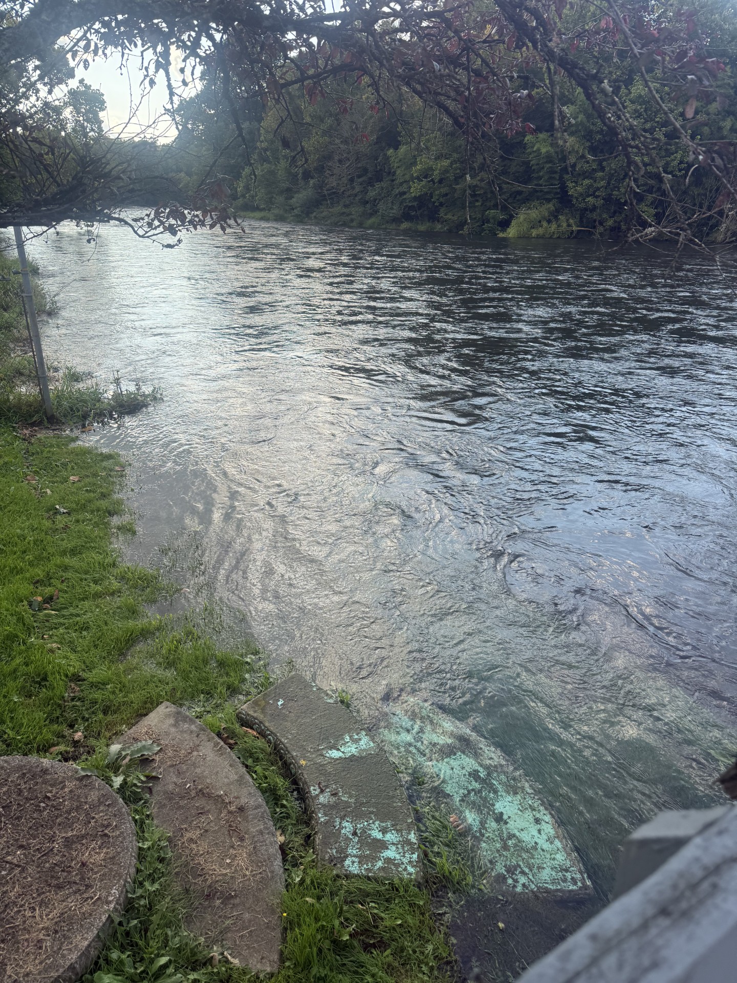 River bank at the house